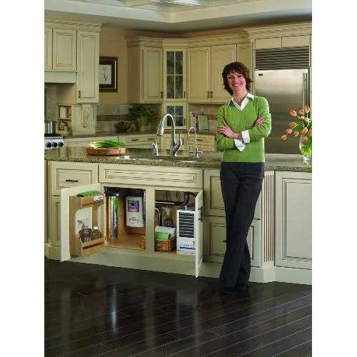 Everpure EV982010 Touch Flo Chrome Filter Gooseneck Faucet Kit - MT - Mrs Treak