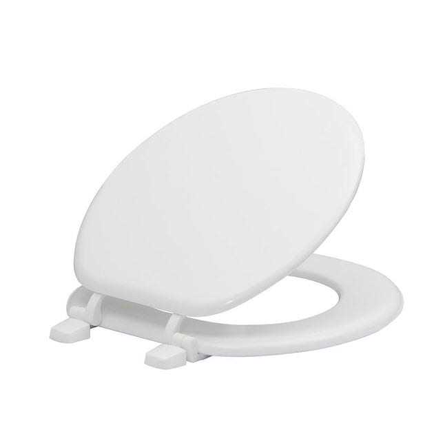 Project Source Pro-Flush White Round Chair Height 2-piece WaterSense Toilet 12-in Rough-in - MT - Mrs Treak