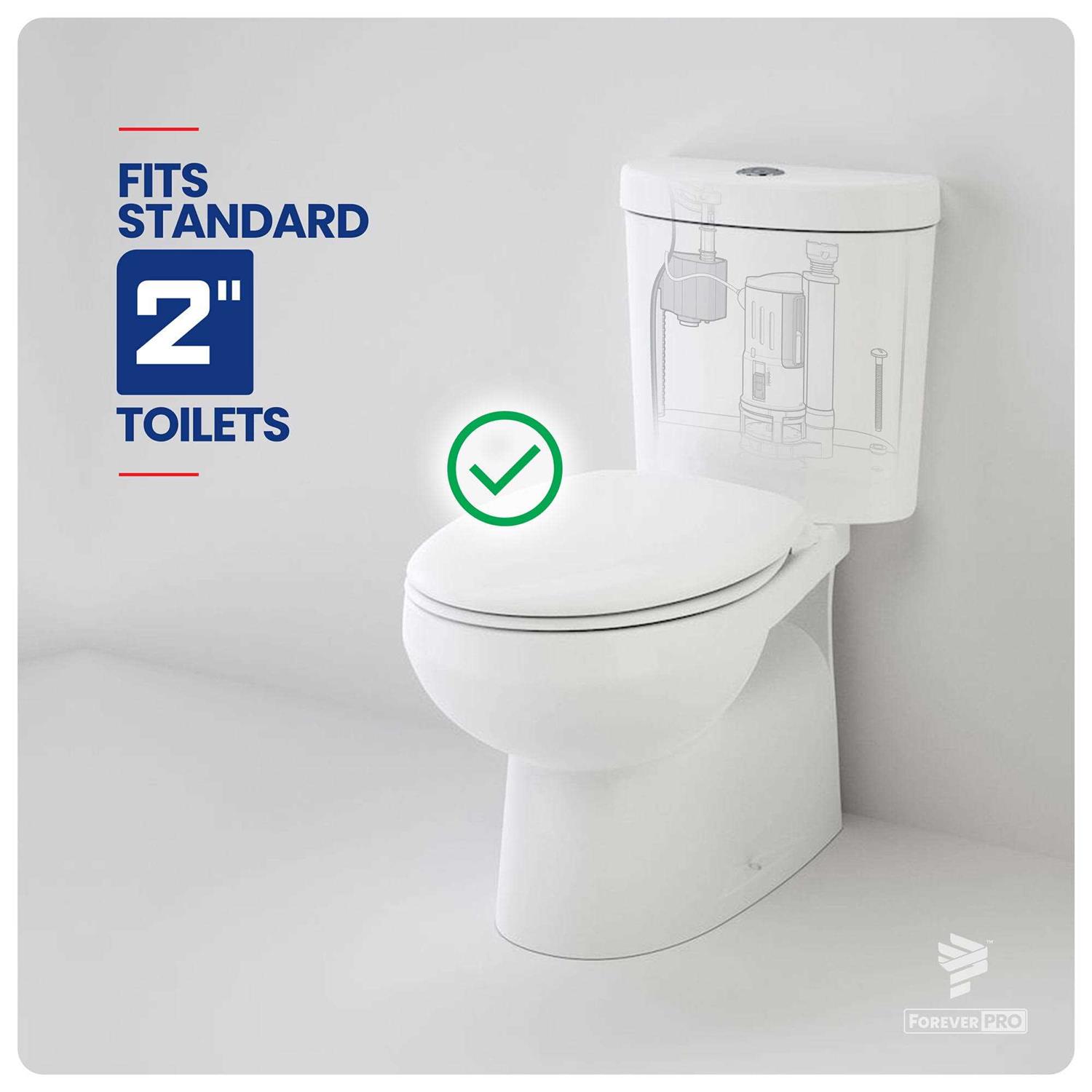 Foreverlast G2 Belt Kit - MT - Mrs Treak