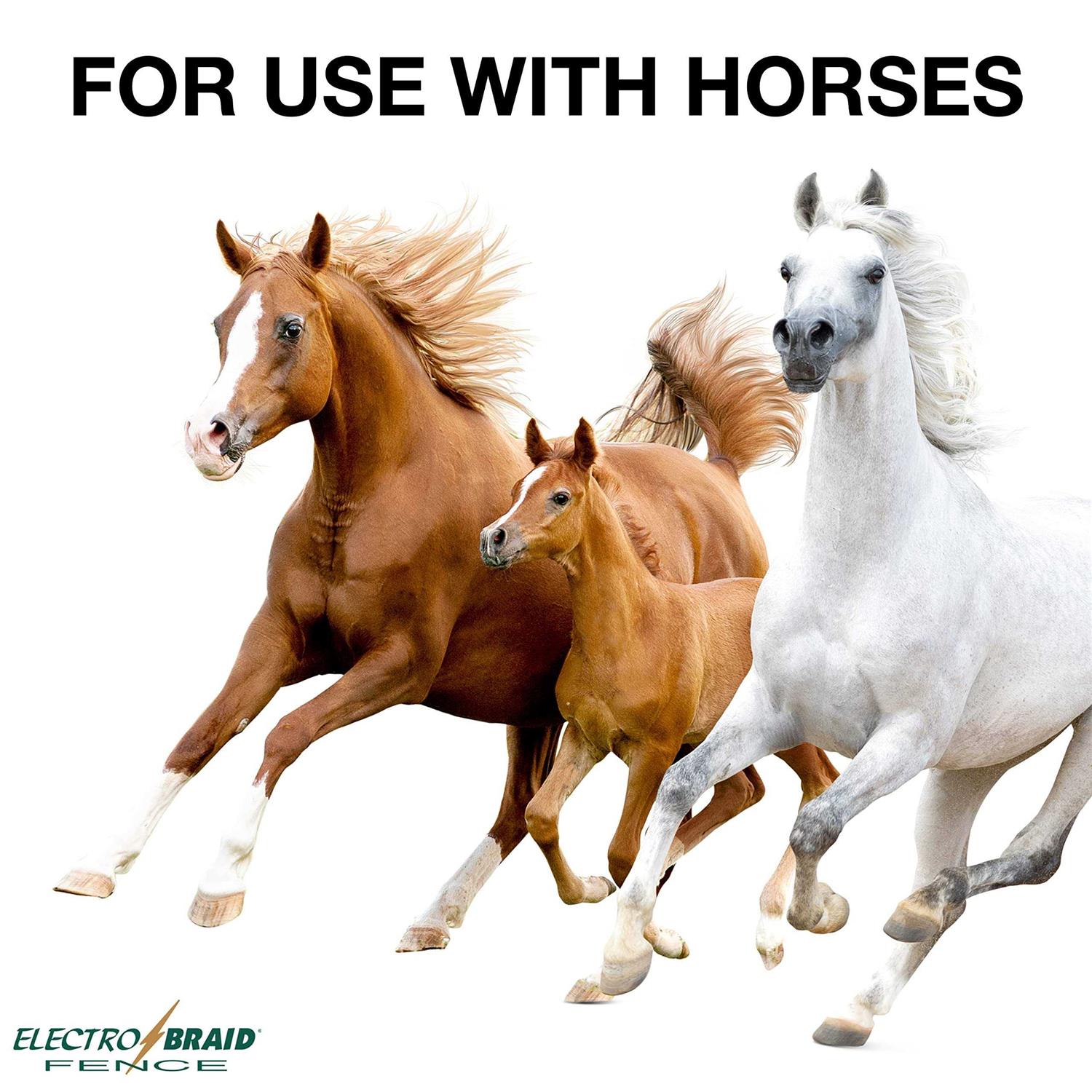 Electro Galvanized Spring Snap Link - MT - Mrs Treak