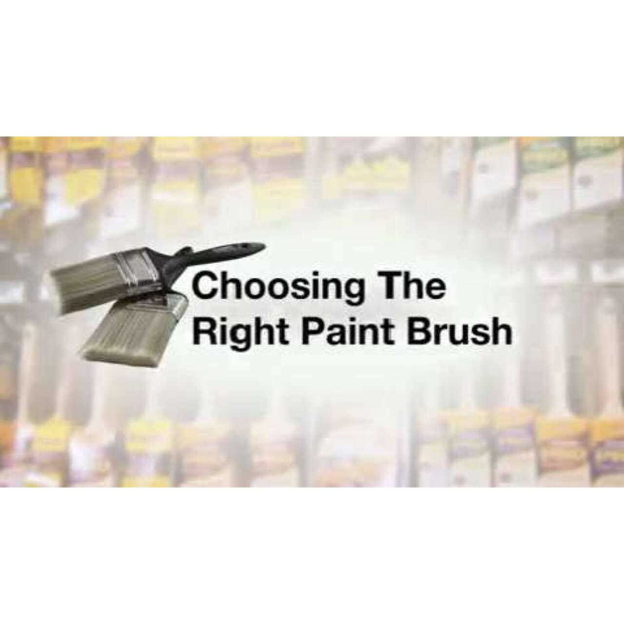 Wooster Epoxy Glide Roller Cover - MT - Mrs Treak