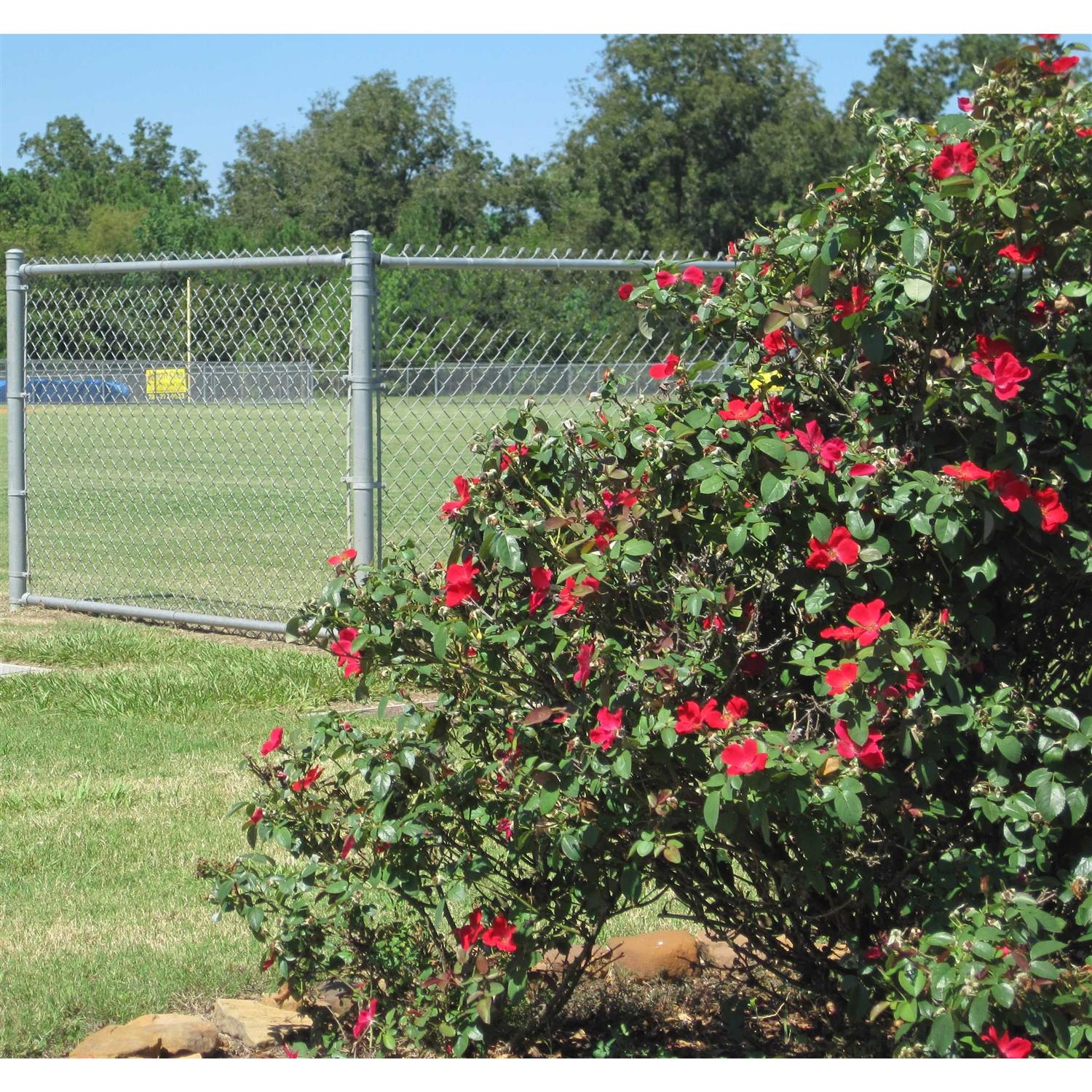 Unbranded 6-in x 6-in x 8-ft Standard Hem Fir Ground Contact Pressure Treated Lumber MSLTCASL0606 - MT - Mrs Treak