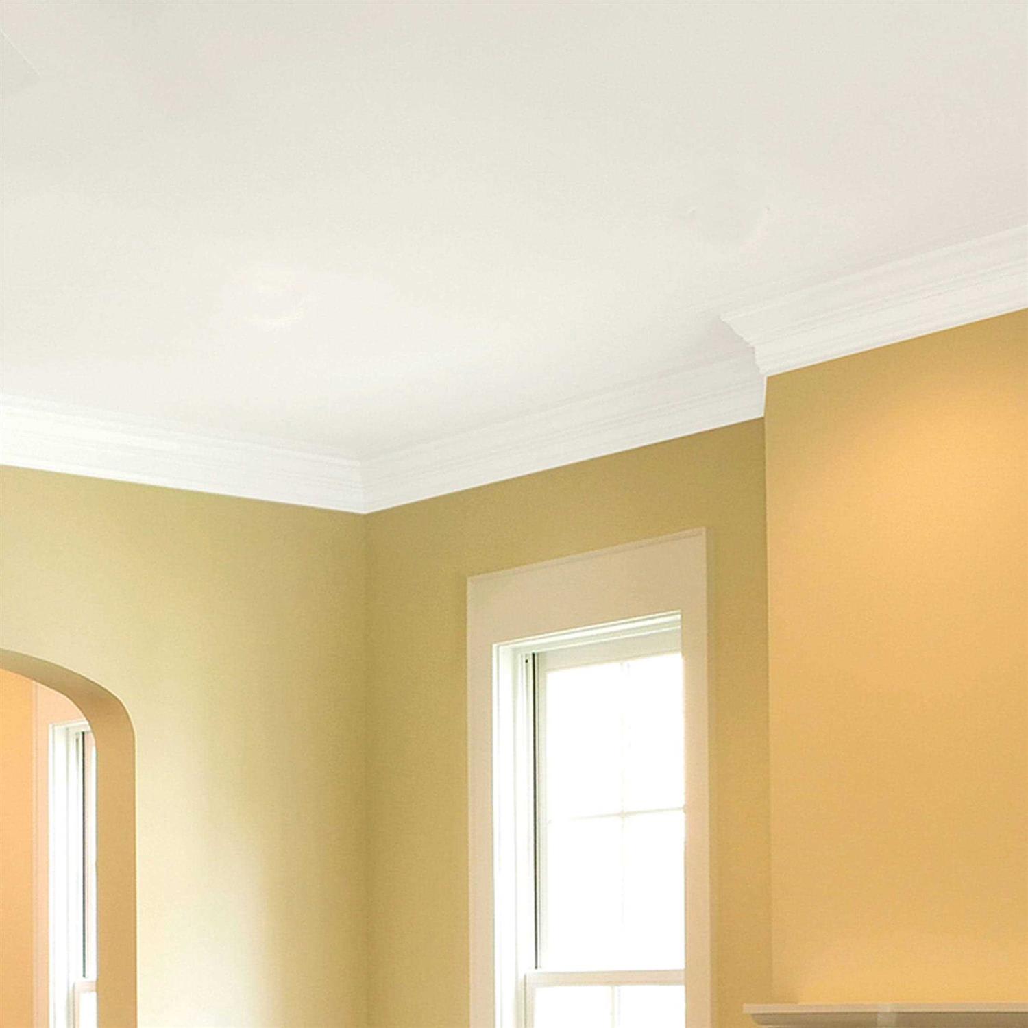 Zinsser Block Filler White 5 gal 293248 - MT - Mrs Treak