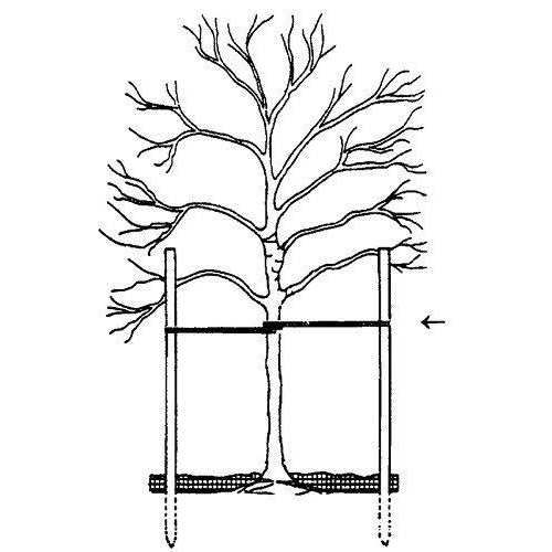 Deep Well Submersible Pump,1 hp 115V 60 Hz 33 GPM - MT - Mrs Treak