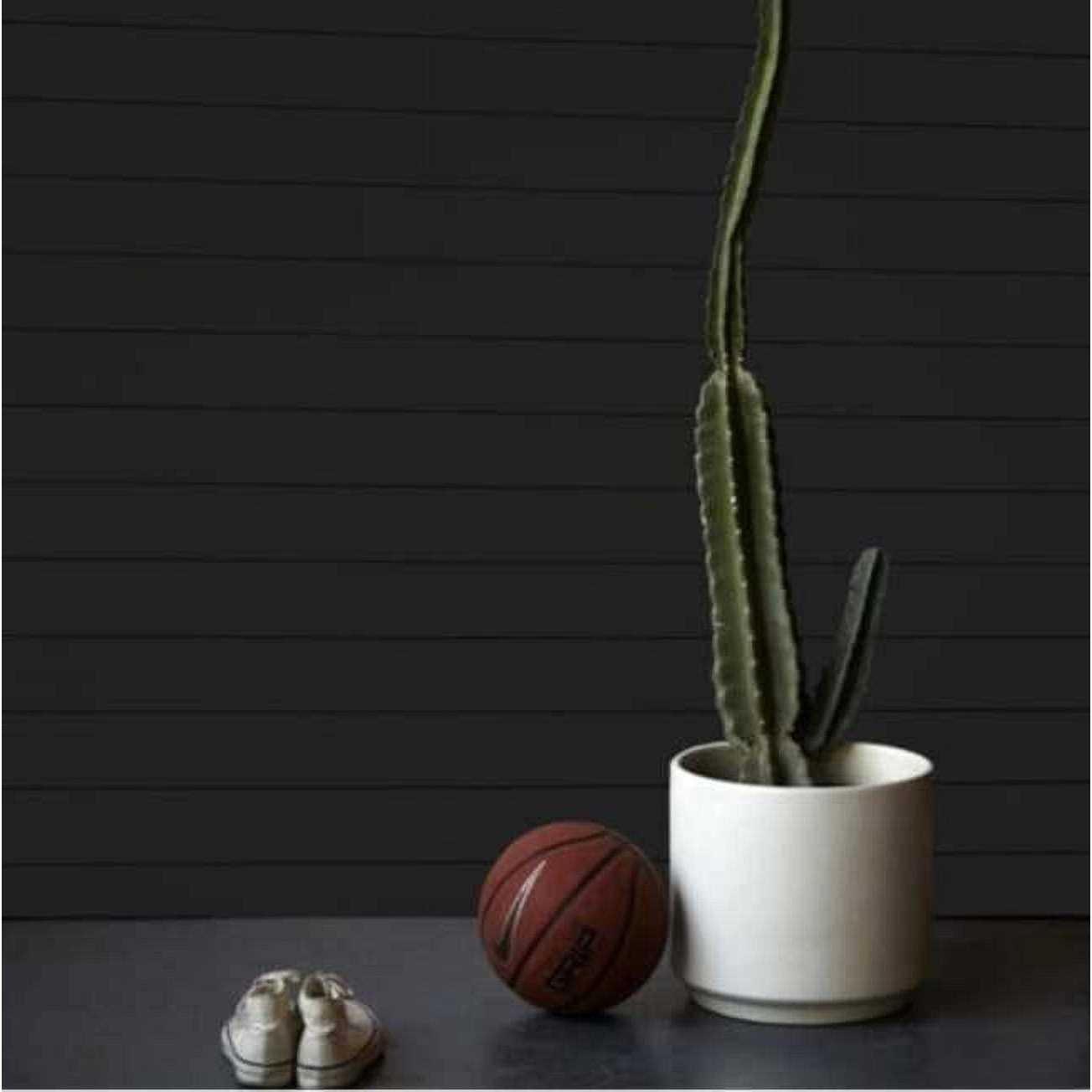 Timeline Shiplap 5-1/2 Wide Wood Wall Paneling - MT - Mrs Treak