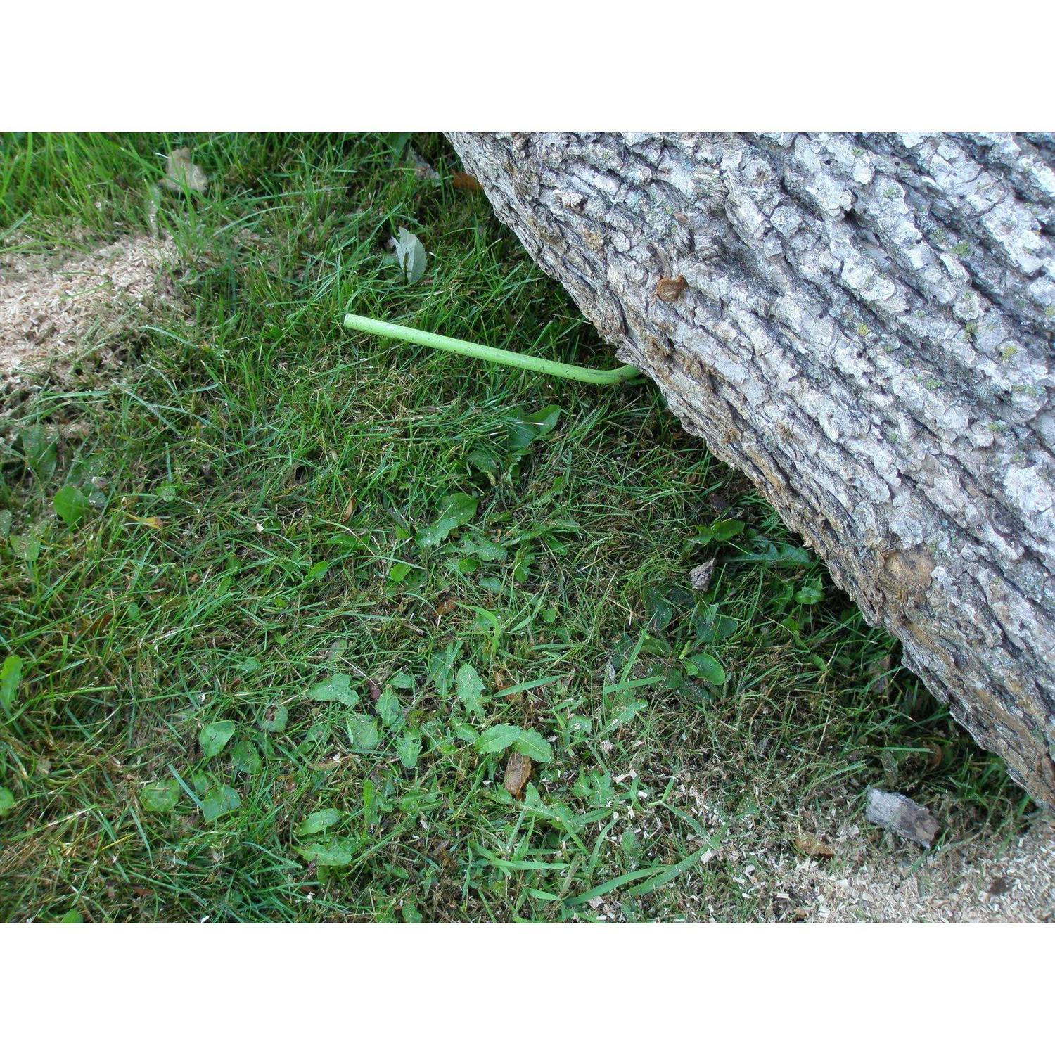 Timber Tuff TMB-55 Wood Handle Timber Jack - MT - Mrs Treak