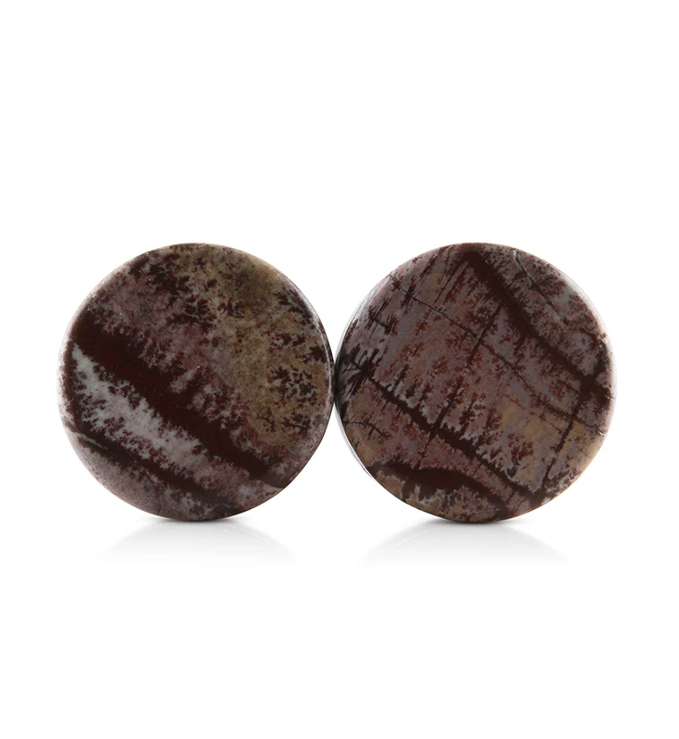Sonoran Dendritic Rhyolite Stone Plugs 3-4