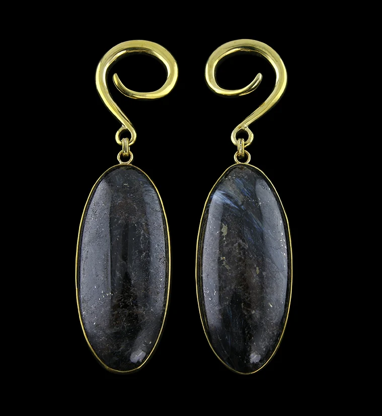 Ovoid Arfvedsonite Hanging Stone Ear Weights - Mrs Treak