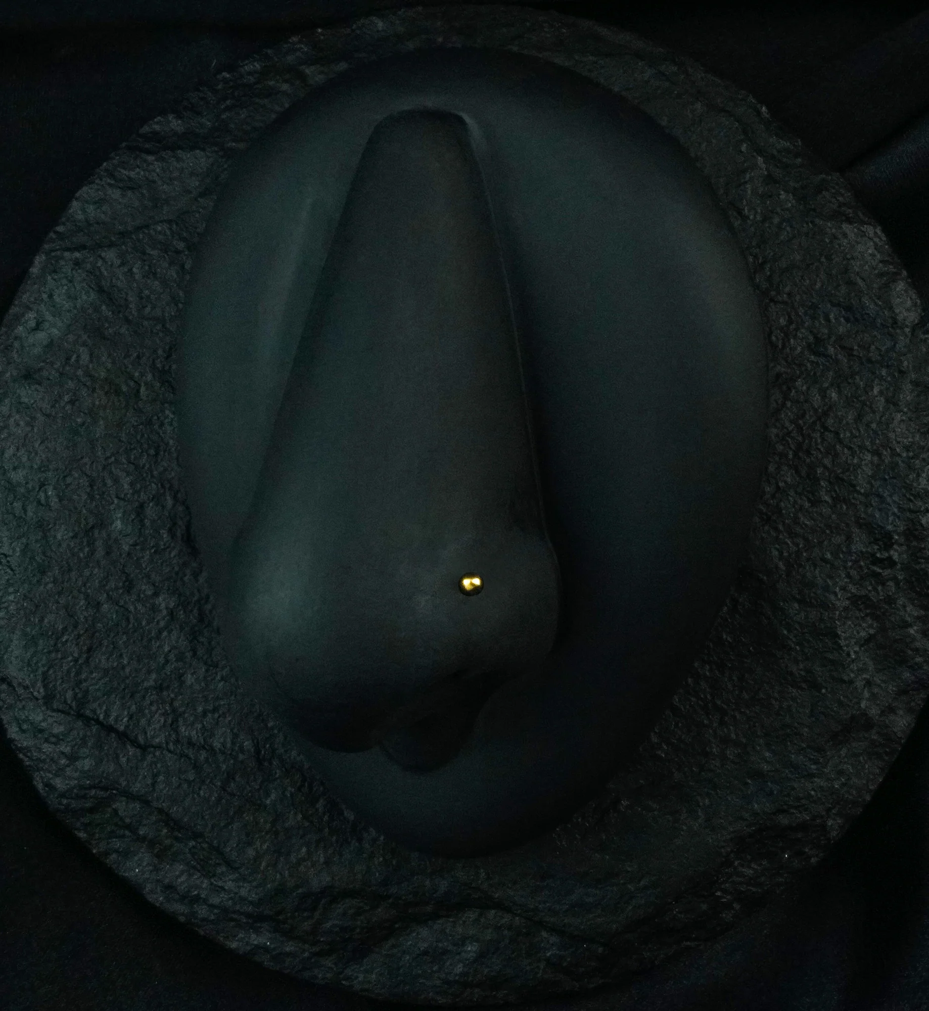 Gold PVD Ball Titanium Nose Screw - Mrs Treak