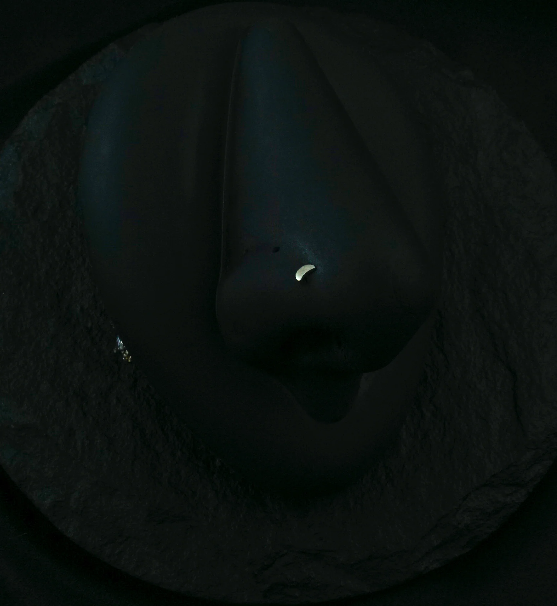 Half Moon Top L Bend Titanium Nose Ring - Mrs Treak