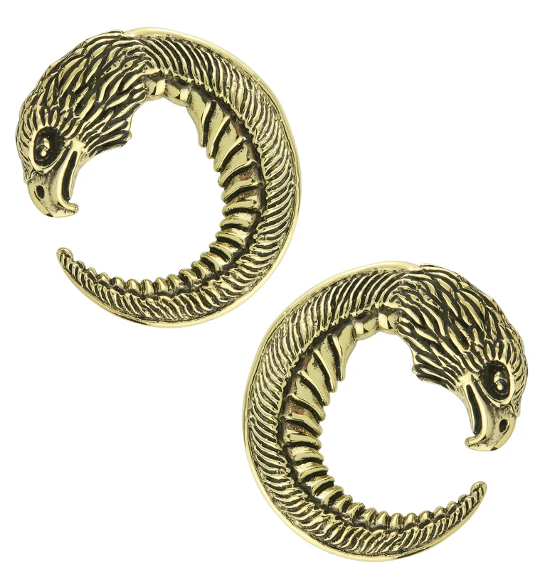 Eagle Head Circular Brass Ear Weights - Mrs Treak