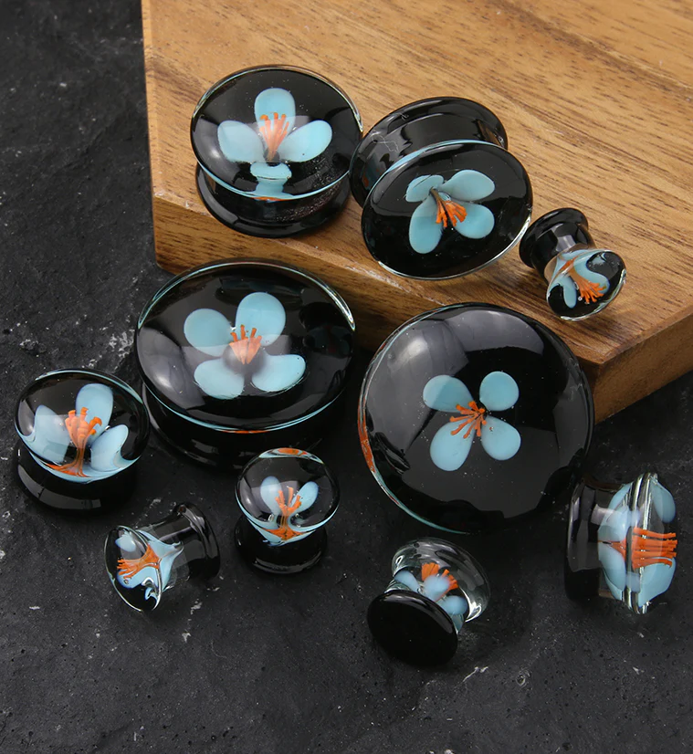Blue Poppy Flower Black Glass Double Flare Plugs - Mrs Treak