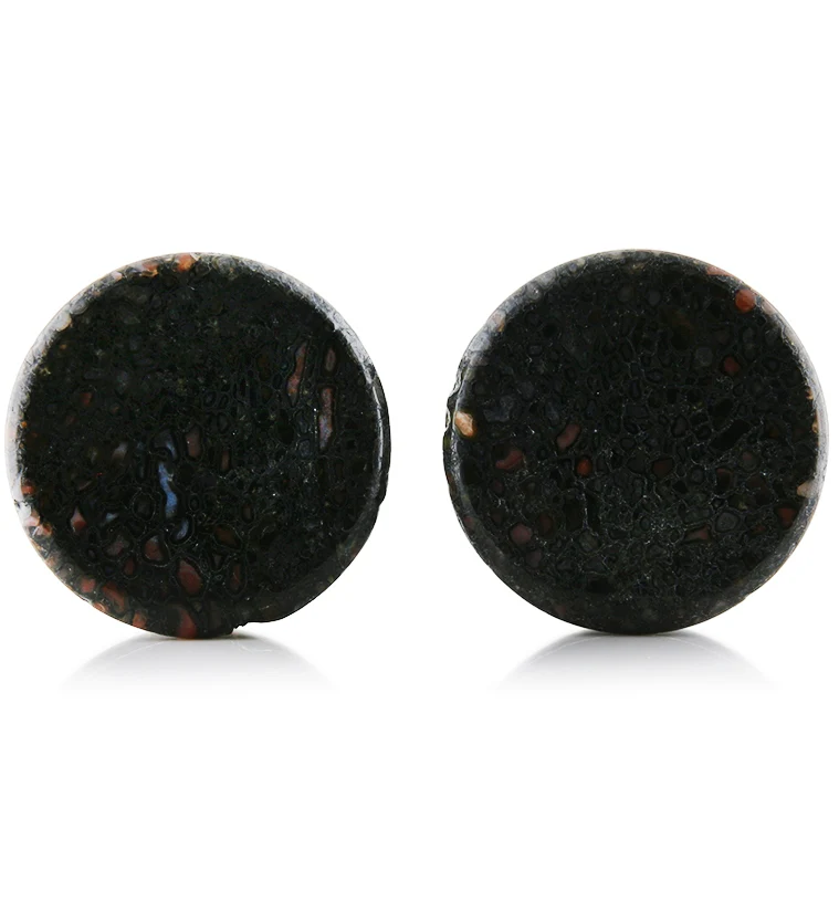 Fossilized Dinosaur Bone Plugs 1 Inch (25mm) (Imperfect) Version 4 - Mrs Treak
