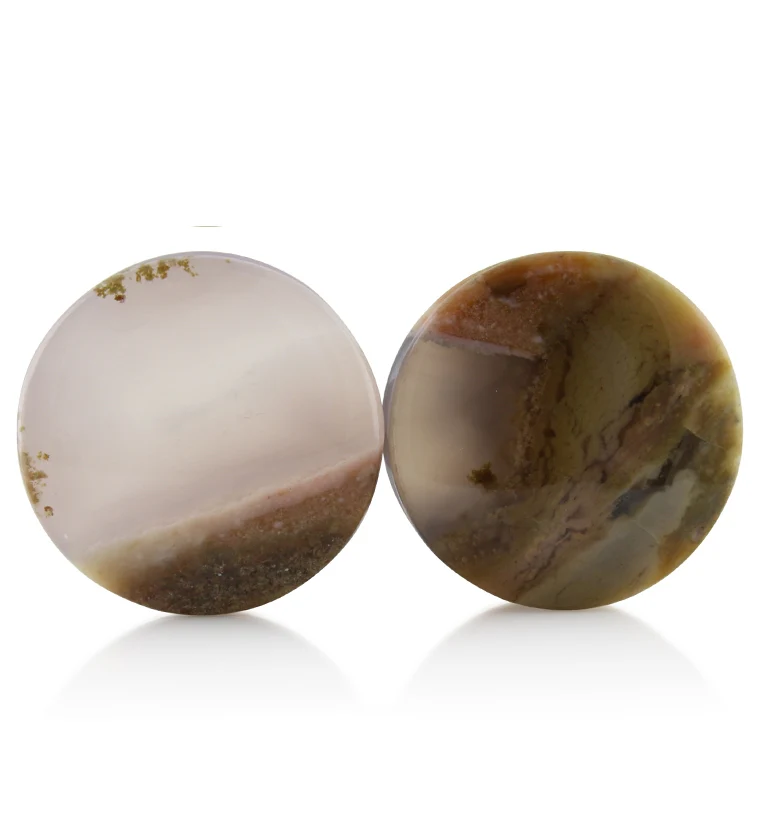 Blue Forest Petrified Wood Plugs 1 Inch (25mm) Version 4 - Mrs Treak