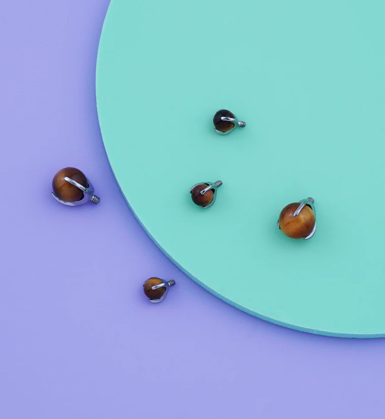 Claw Tigers Eye Stone Titanium Internally Threaded Top - Mrs Treak