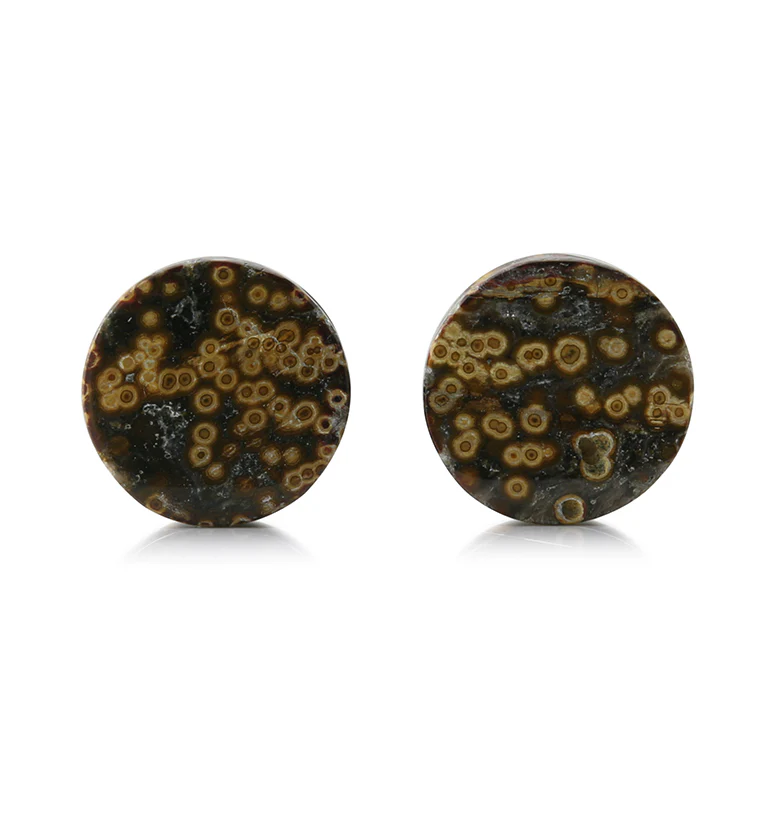 Ocean Jasper Stone Plugs 5/8