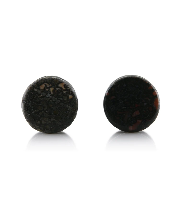 Fossilized Dinosaur Bone Plugs 1-2