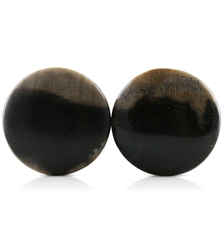 Petrified Wood Plugs 3-4