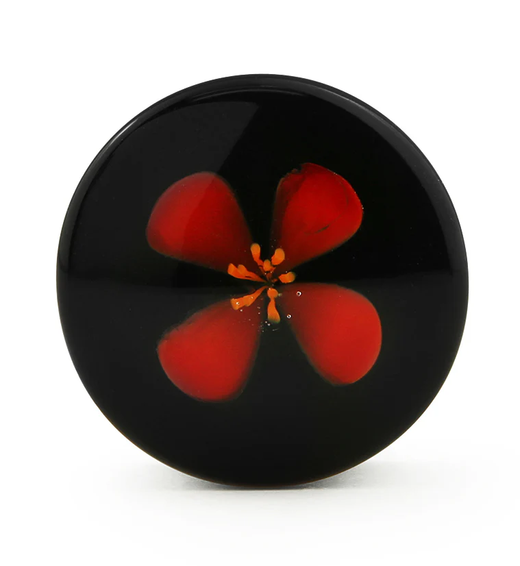 Red Poppy Flower Black Glass Double Flare Plugs - Mrs Treak