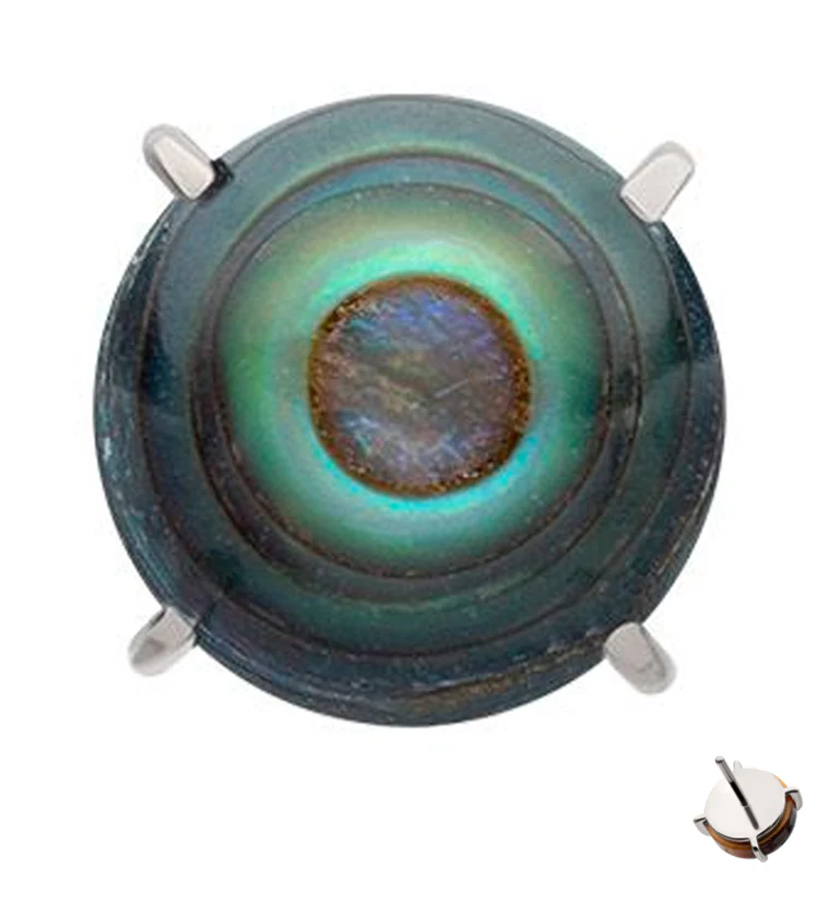 Prong Abalone Shell Titanium Threadless Top - Mrs Treak