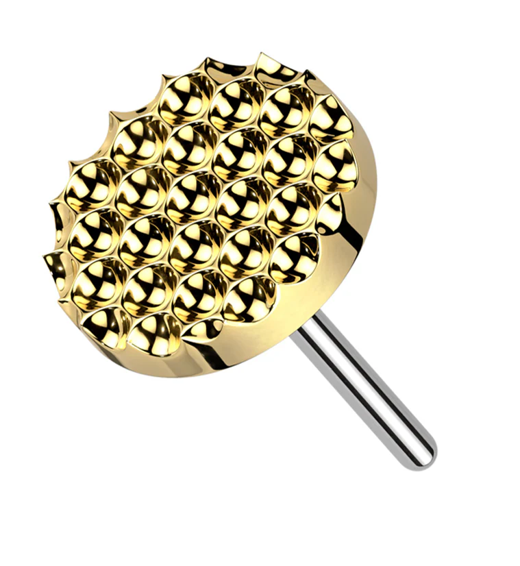 Gold PVD Beaded Disk Titanium Threadless Top - Mrs Treak