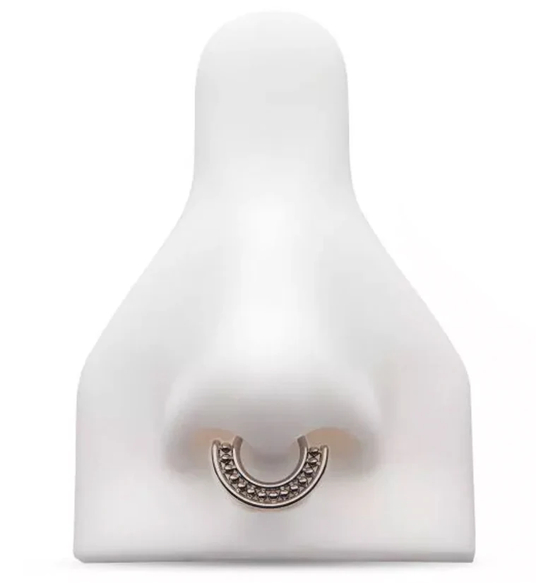 Beaded Groove Titanium Hinged Segment Ring - Mrs Treak