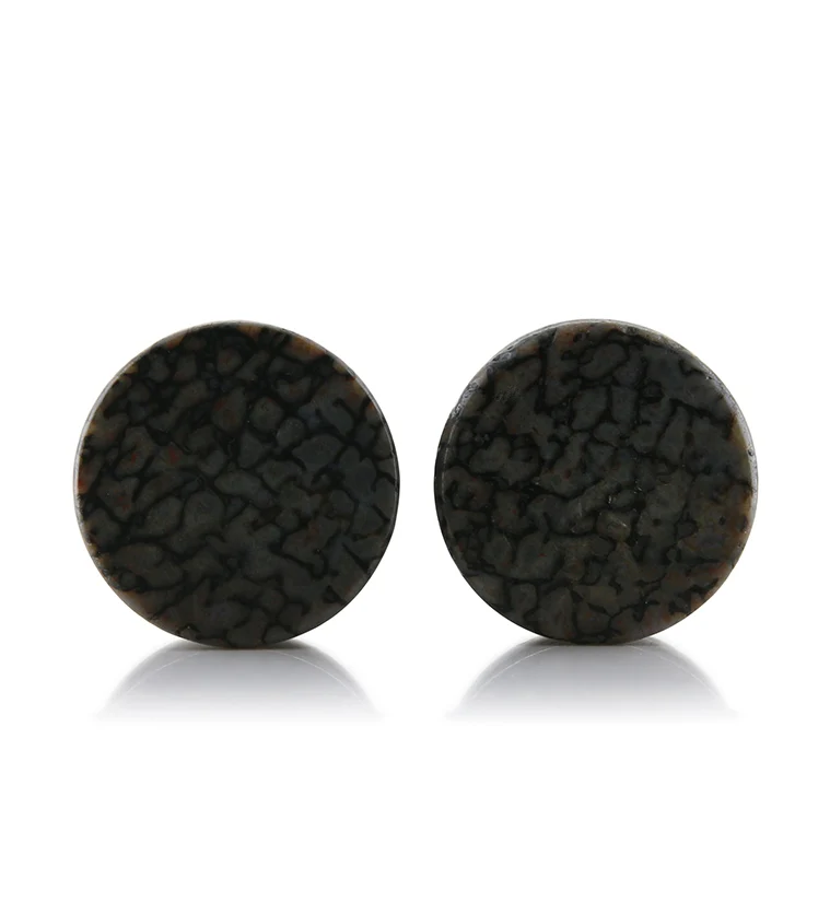 Fossilized Dinosaur Bone Plugs 5/8
