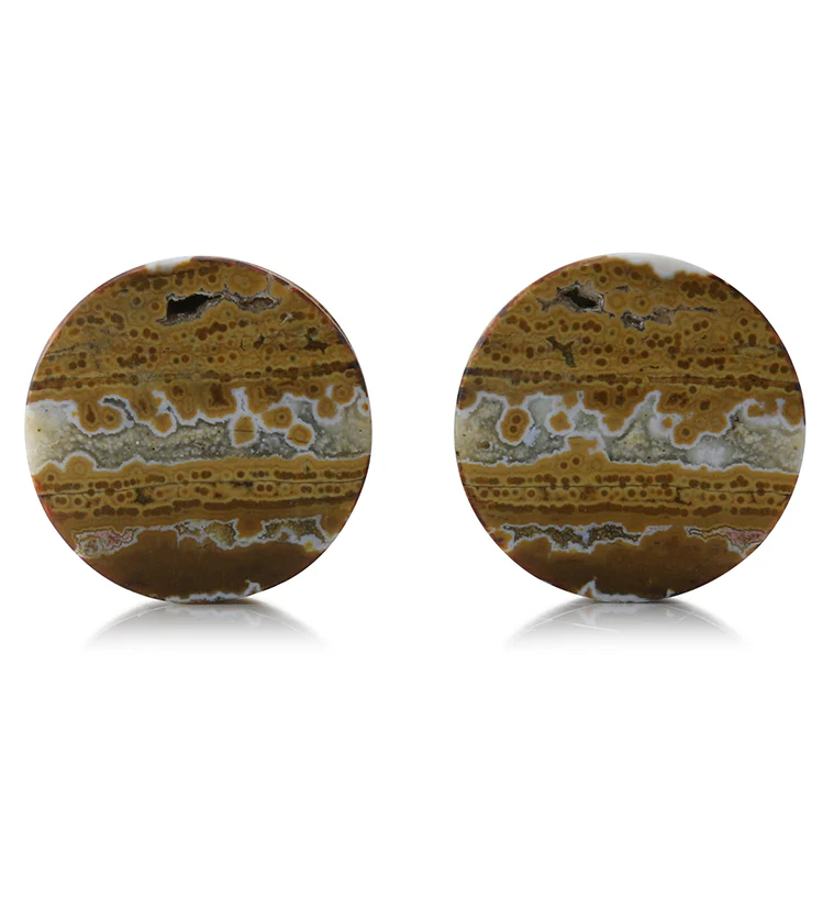 Ocean Jasper Stone Plugs 7/8