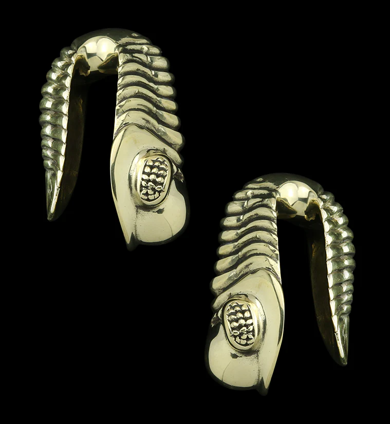 Trilobite Fossil Brass Ear Weights - Mrs Treak
