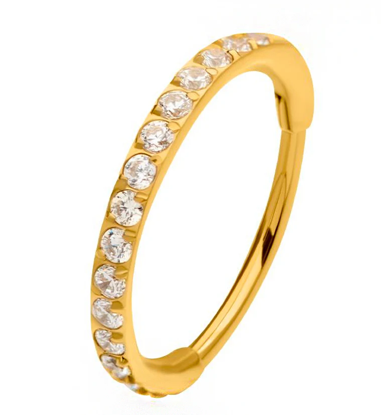 Gold PVD Clear CZ Hoop Stainless Steel Hinged Segment Ring - Mrs Treak