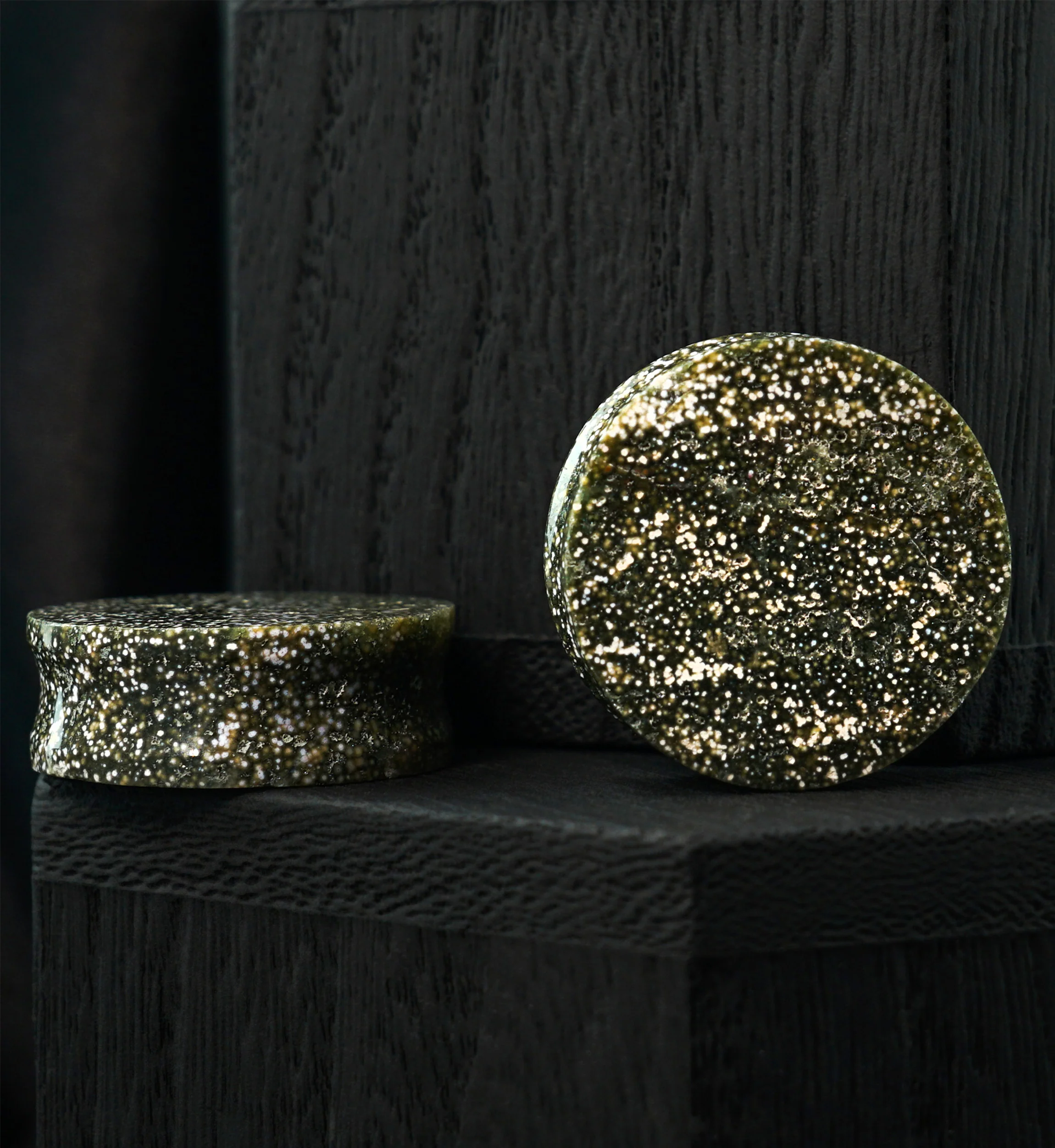 Ocean Jasper Stone Plugs 1