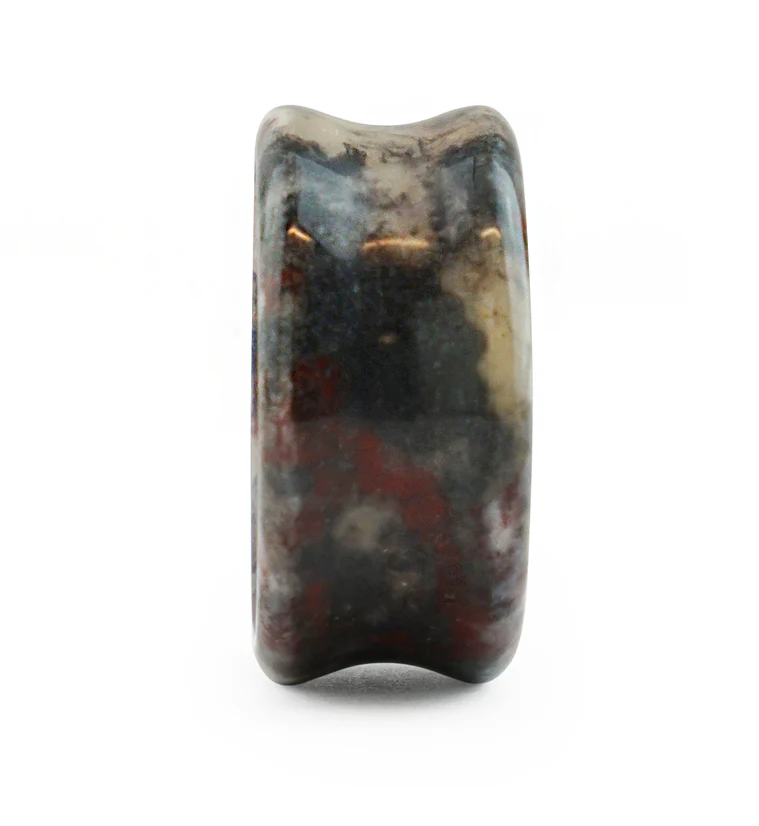 Concave Bloodstone Plugs - Mrs Treak