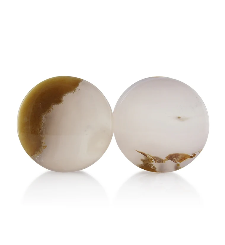 Blue Forest Petrified Wood Plugs 3-4 inch (19mm) Version 3 - Mrs Treak