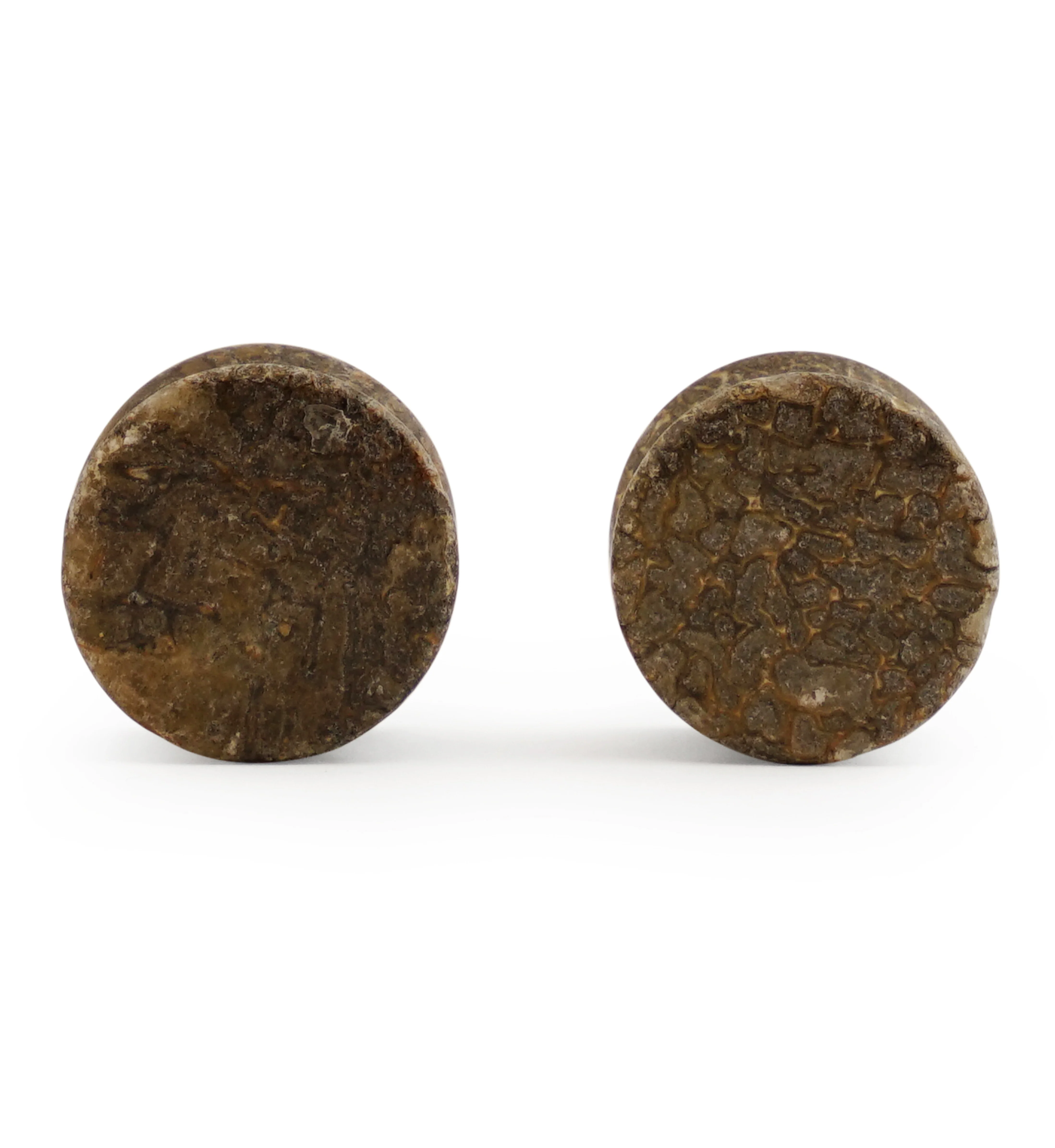 Fossilized Dinosaur Bone Plugs 5/8