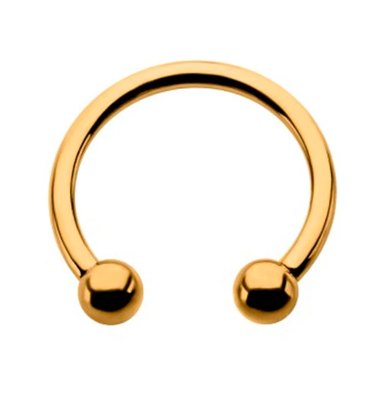 24kt Gold PVD Titanium Circular Barbell - Mrs Treak