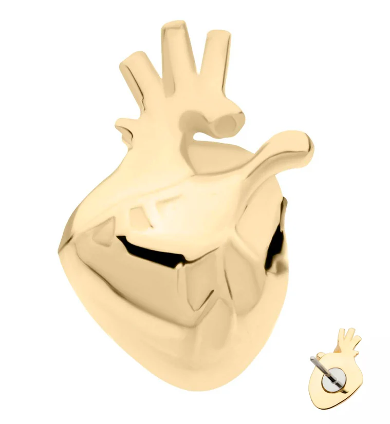 14kt Gold Anatomical Heart Threadless Top - Mrs Treak