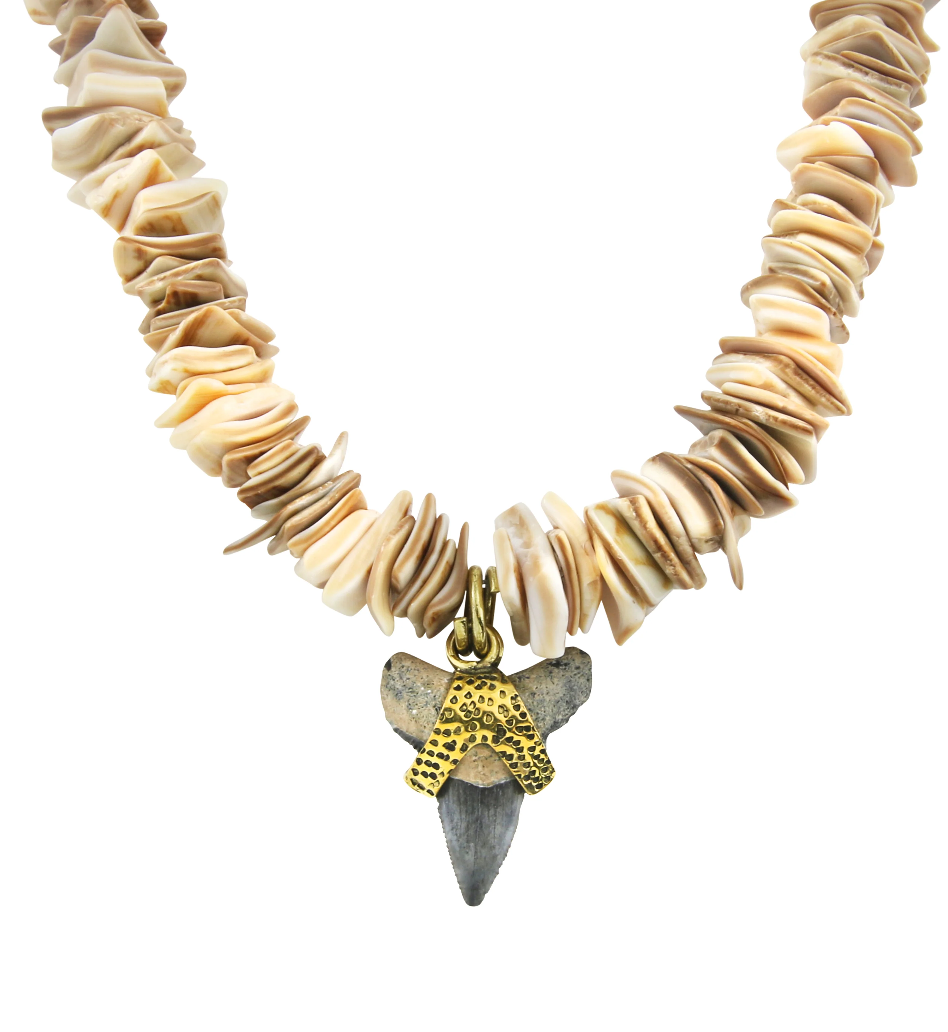 Fossilized Shark Tooth Flat Seashell Necklace - Mrs Treak