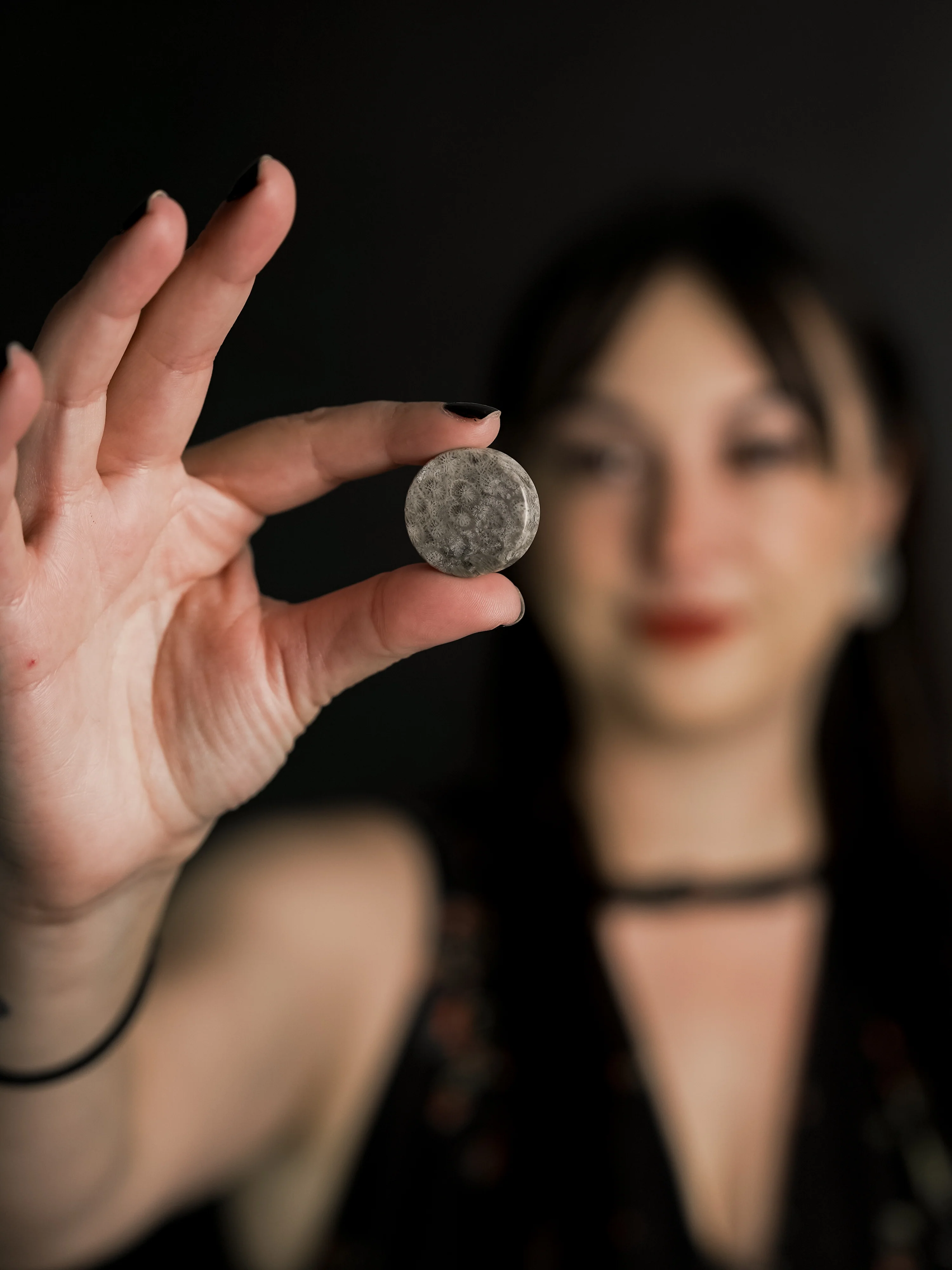 Blue Fossilized Coral Stone Plugs - Mrs Treak