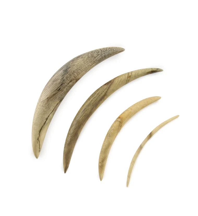Tamarind Wooden Septum Tusk - Mrs Treak