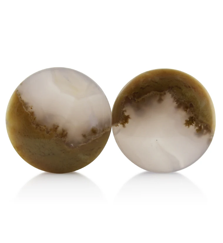 Blue Forest Petrified Wood Plugs 1 Inch (25mm) Version 2 - Mrs Treak