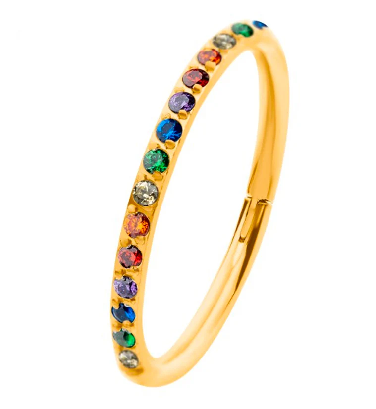 24kt Gold PVD Rainbow CZ Row Titanium Hinged Segment Ring - Mrs Treak