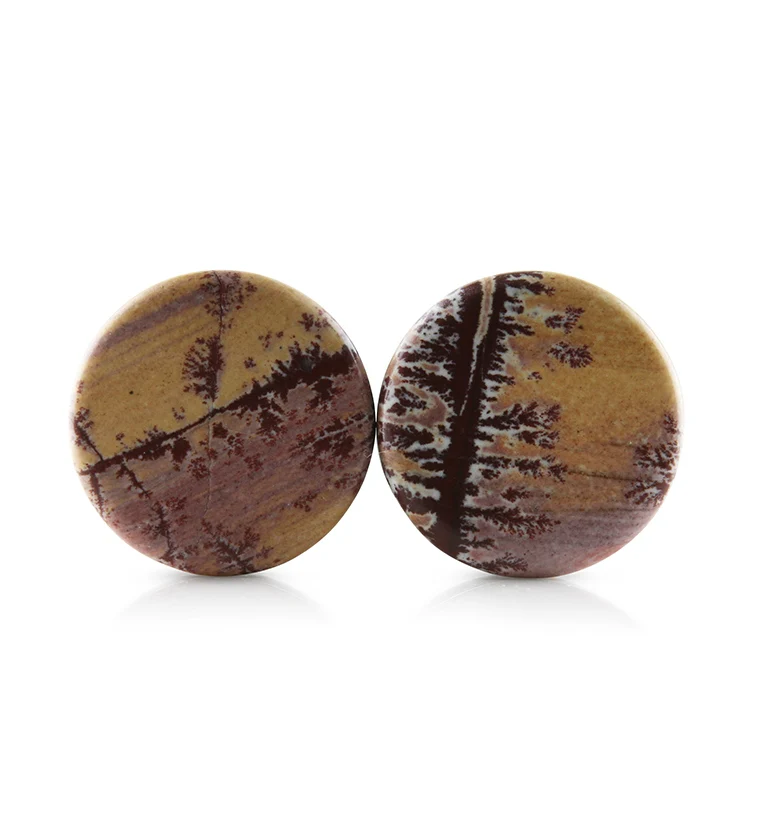 Sonoran Dendritic Rhyolite Stone Plugs 3-4
