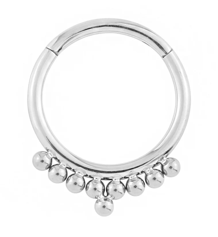 Titanium Fuse Hinged Segment Ring - Mrs Treak