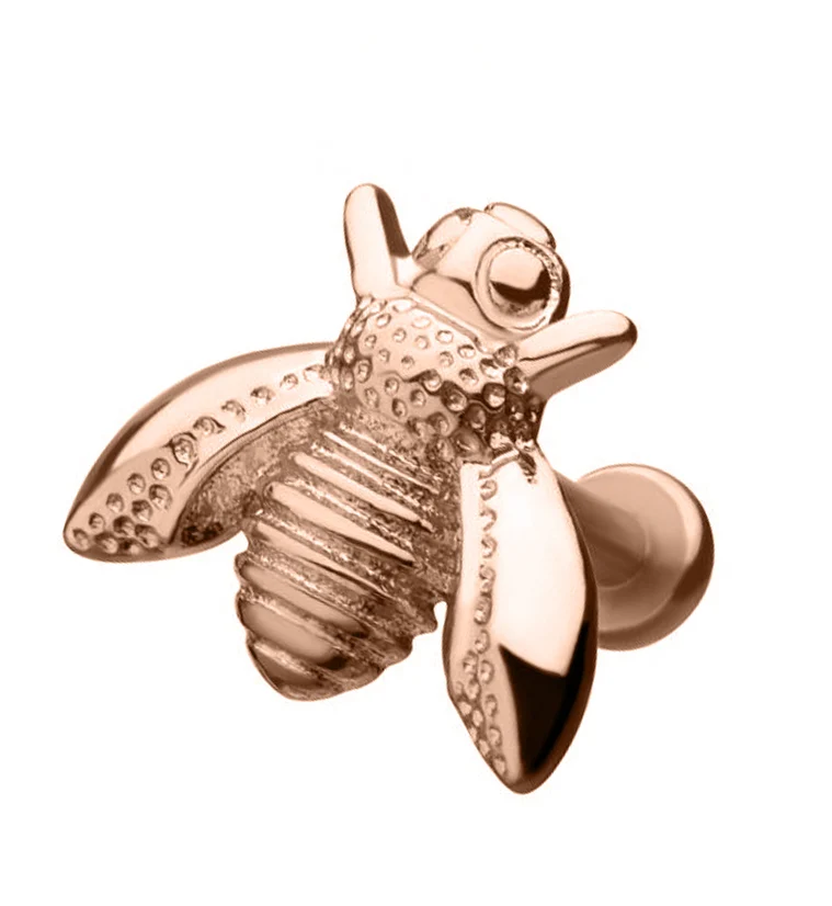 18G Rose Gold PVD Bumblebee Labret - Mrs Treak