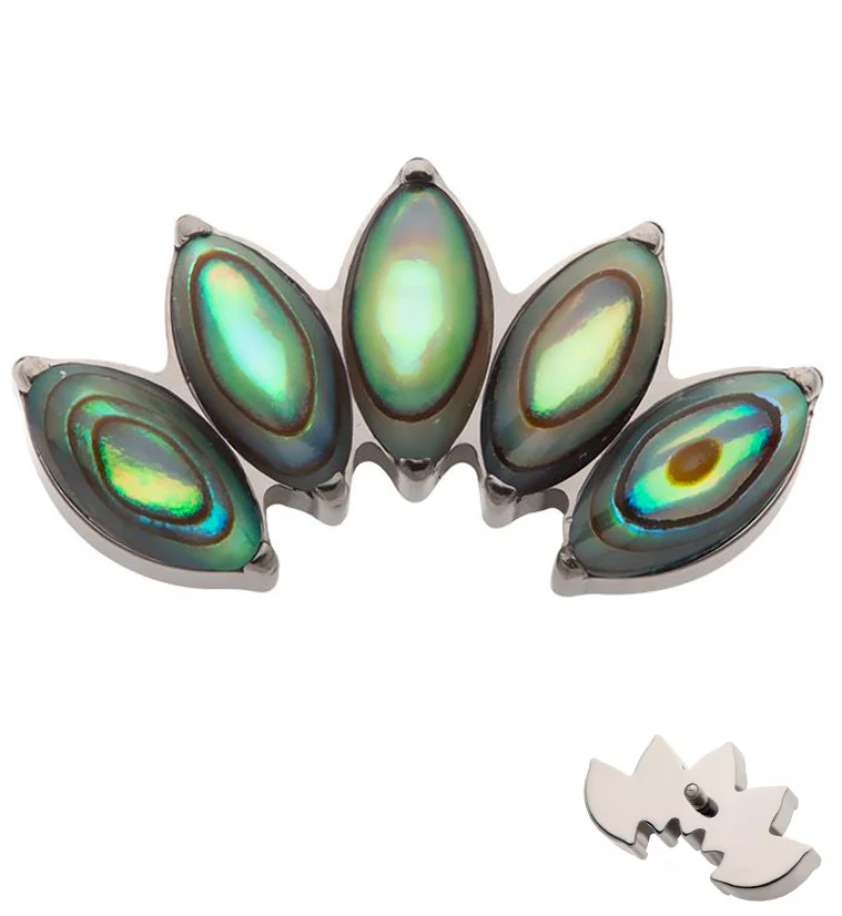 Half Crown Abalone Shell Internally Threaded Titanium Top - Mrs Treak