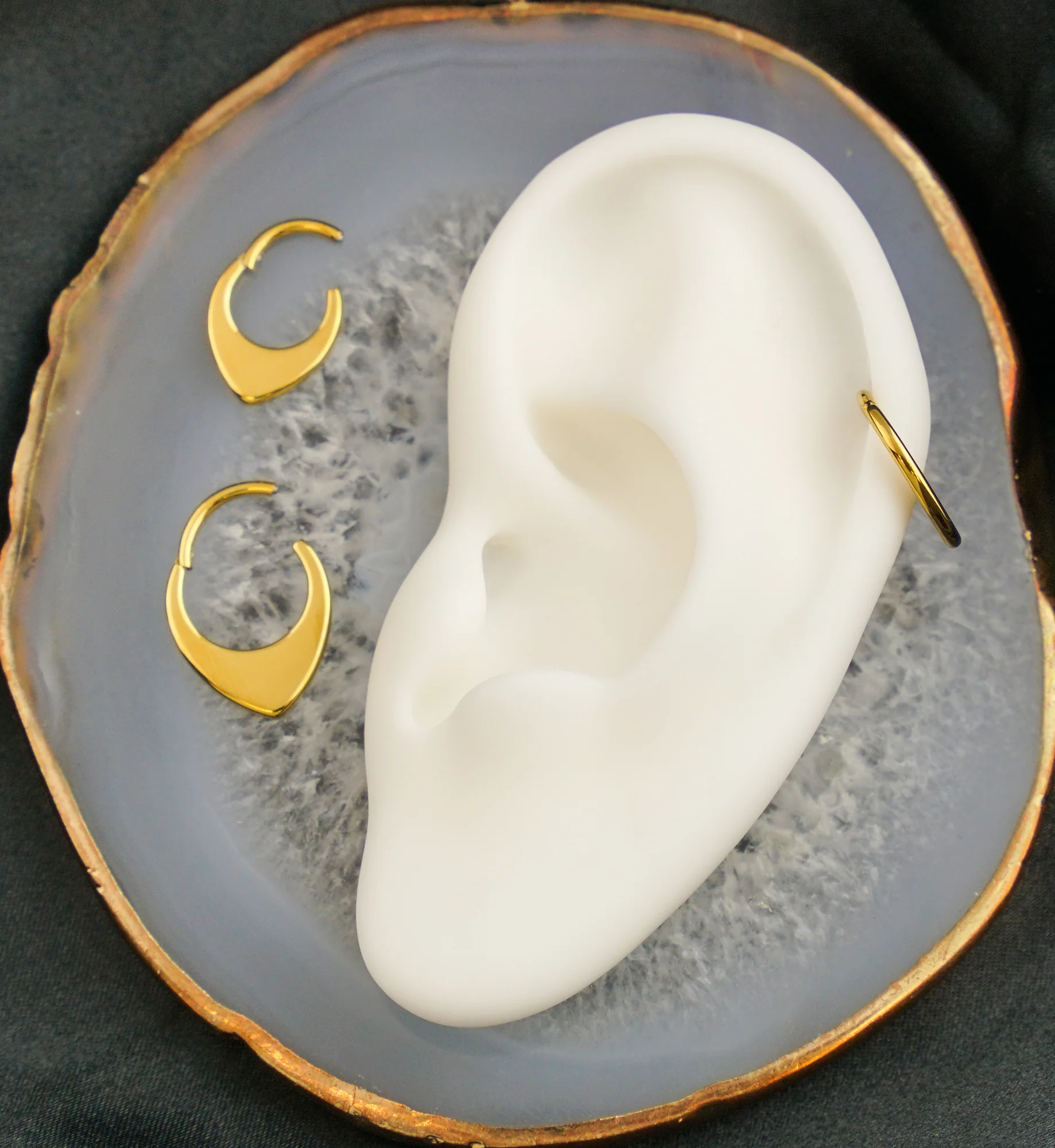 Gold PVD Rounded Point Titanium Hinged Segment Ring - Mrs Treak