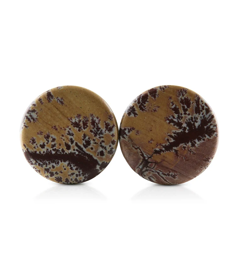 Sonoran Dendritic Rhyolite Stone Plugs 3-4