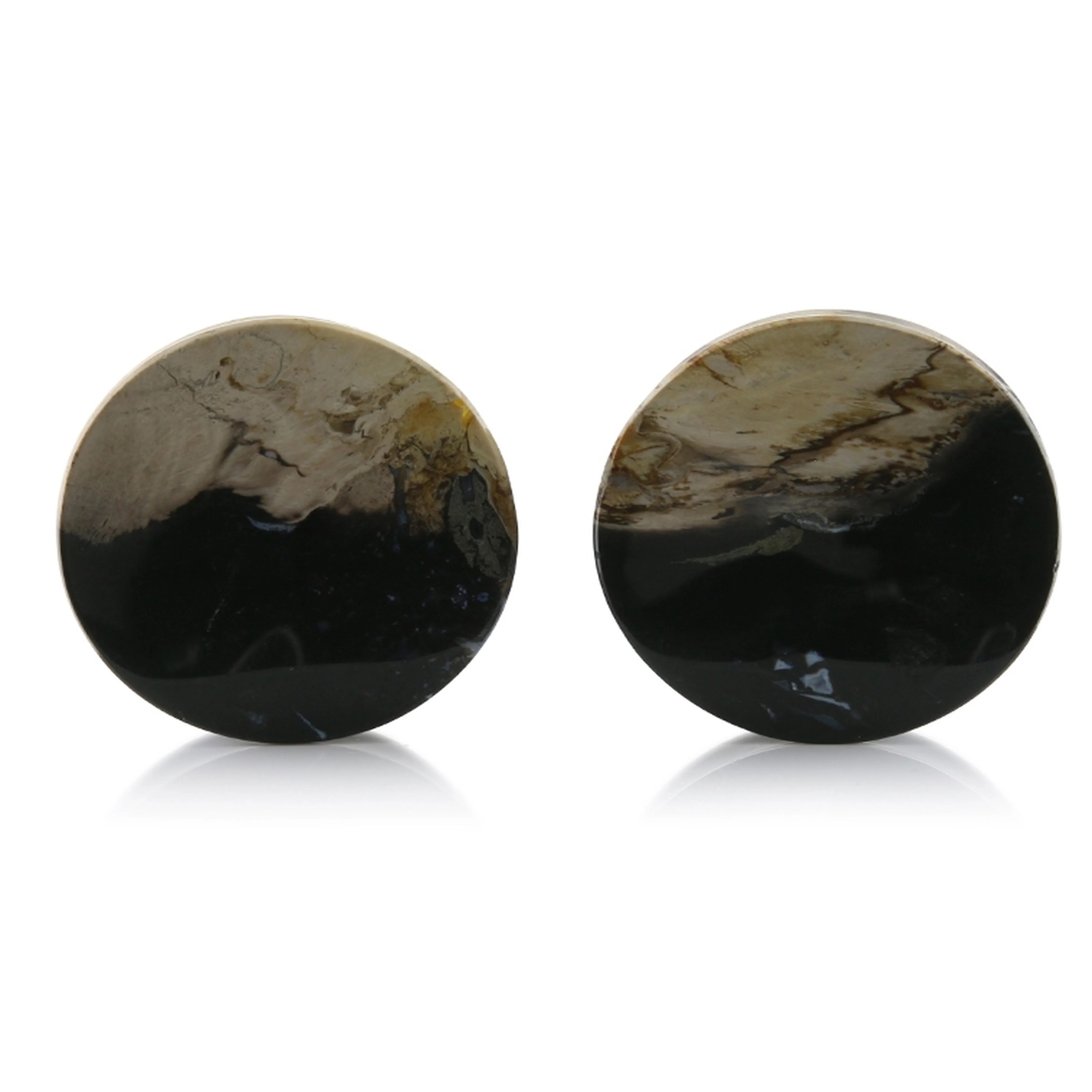 Petrified Palm Root Plugs 1 & 19-64