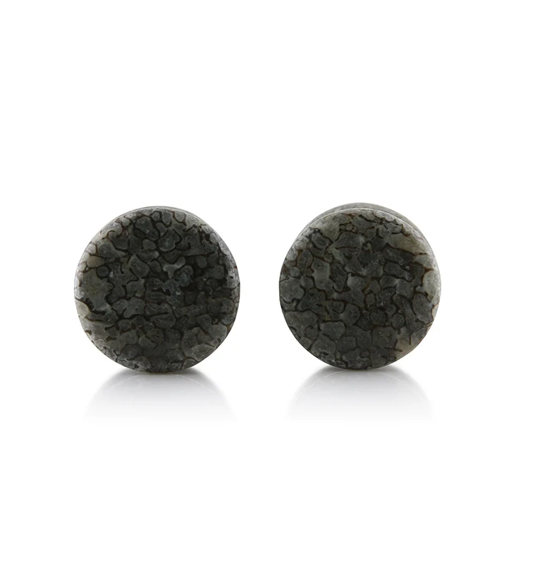 Fossilized Dinosaur Bone Plugs 1-2