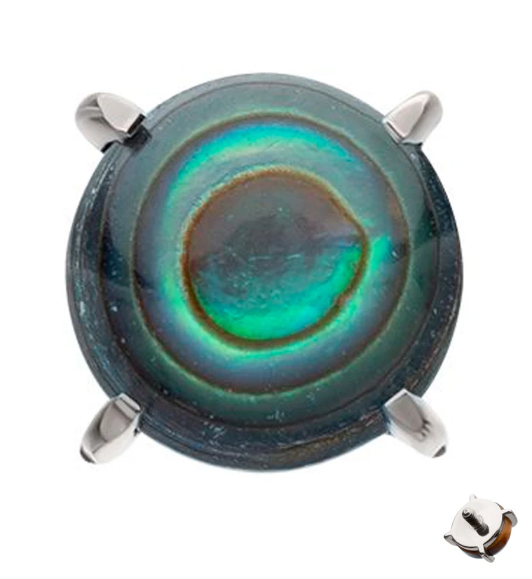 Prong Set Abalone Shell Titanium Internally Threaded Top - Mrs Treak